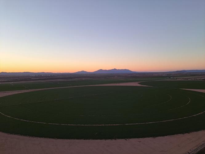 View from the air of an alfalfa field