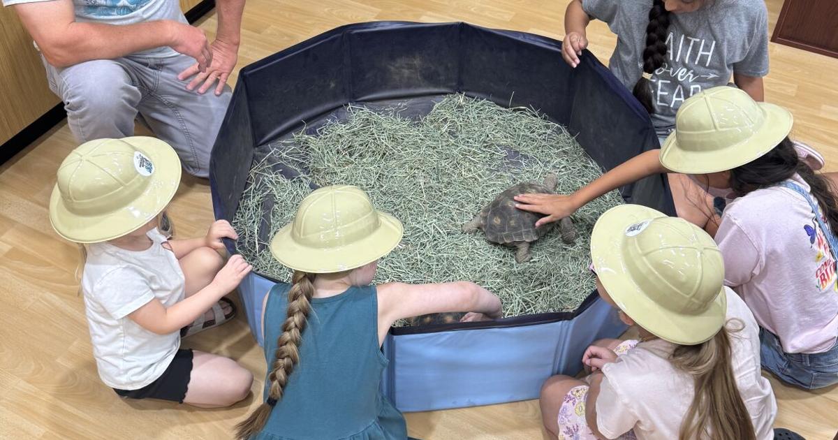 Pinal brings the wonder of the desert inside