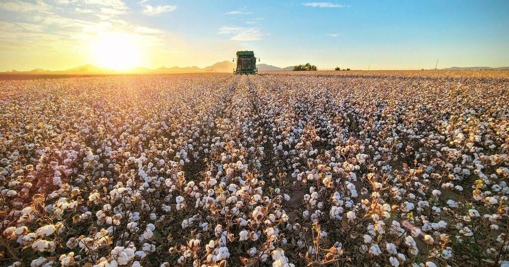 Advocating for area growers is key goal for association