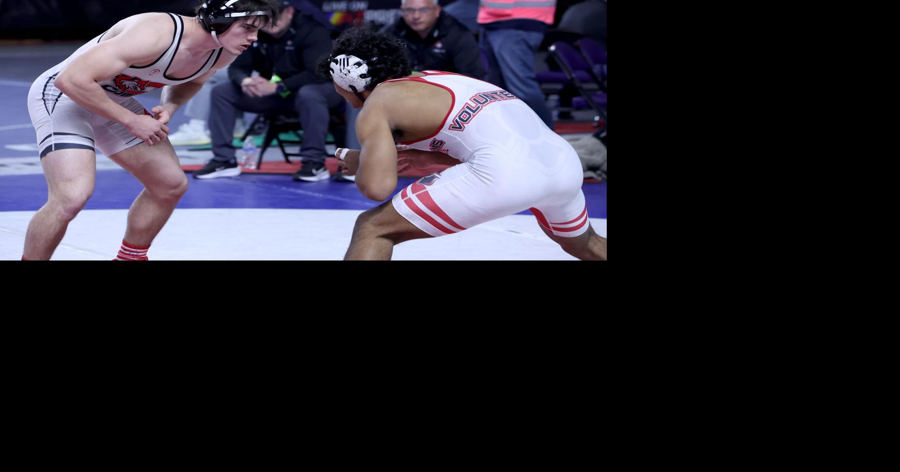 Combs has strong state showing as 3 medal | Local Sports | pinalcentral.com