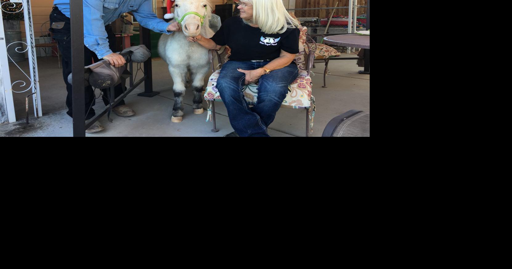 CG ranch offers hug-a-horse therapy, debates growing | Casa Grande Area ...
