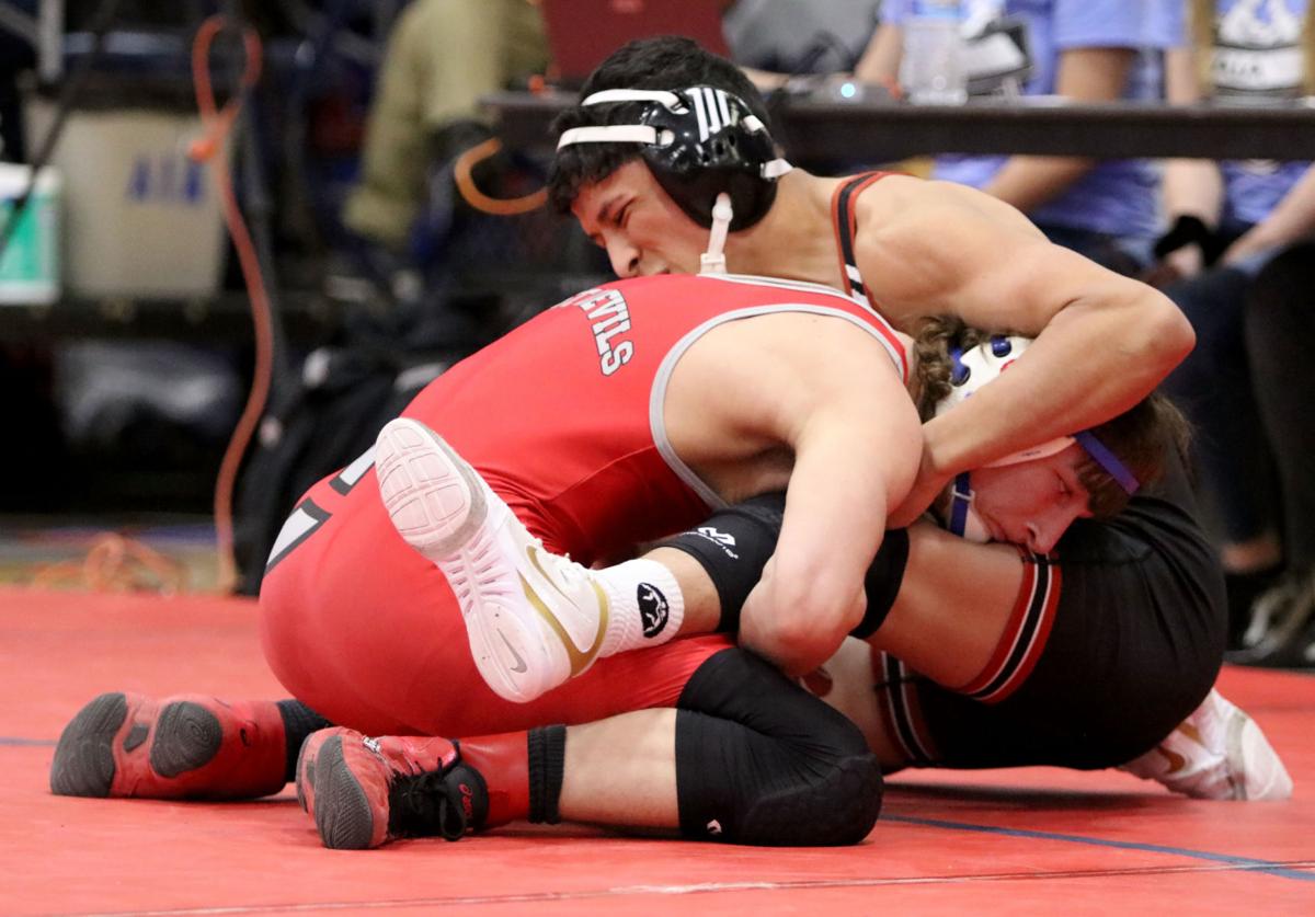 Allegheny County Wrestling Tournament 2022