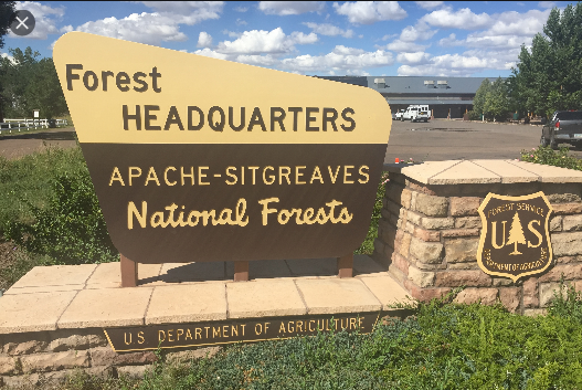 Apache Sitgreaves National Forest Sign Pinalcentral Com