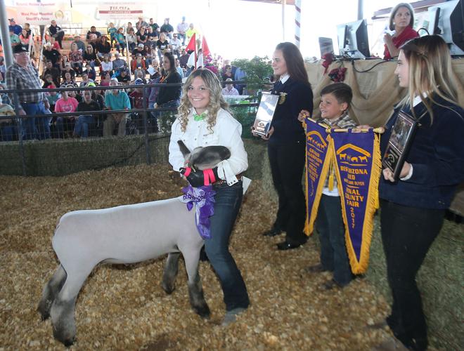 Pinal County Fair Featured