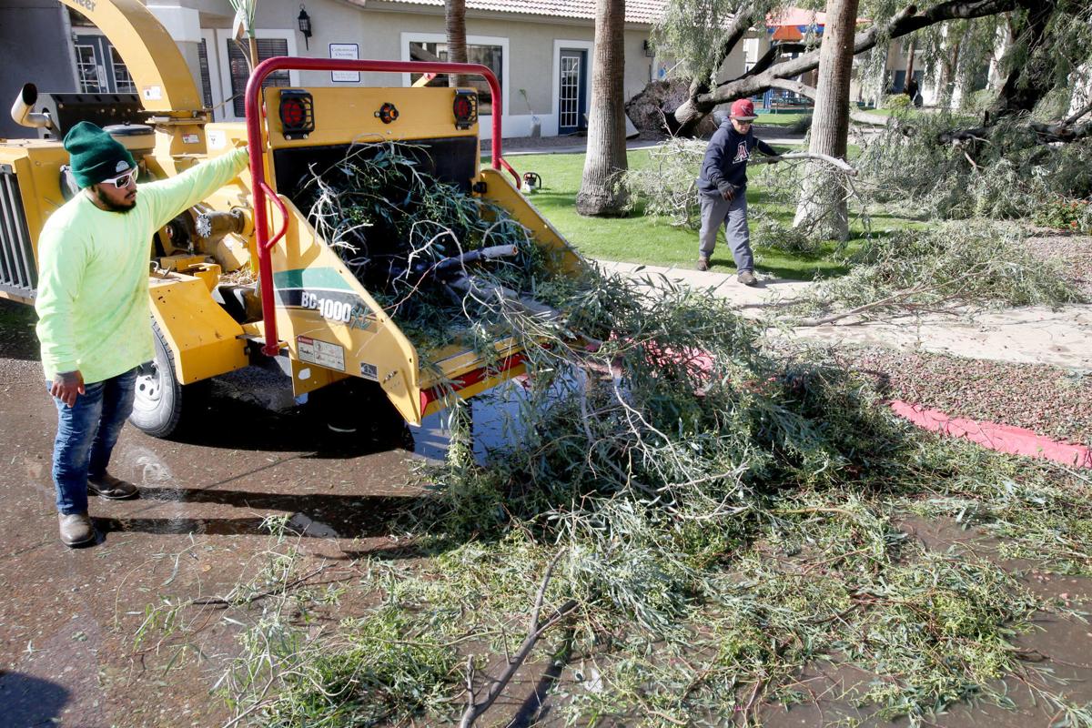 Down trees caused by storm