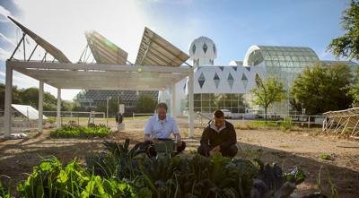 Growing Crops Under Solar Panels Provides Advantages Business Pinalcentral Com