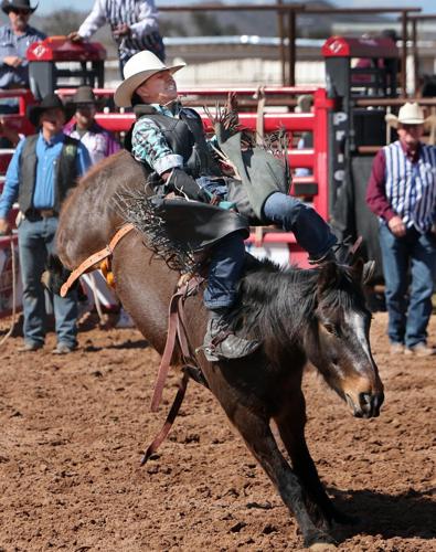 CAC Rodeo | | pinalcentral.com
