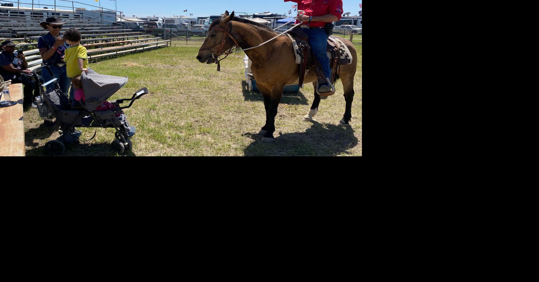 'Cowboy class' builds trust between humans, horses | Country Thunder ...