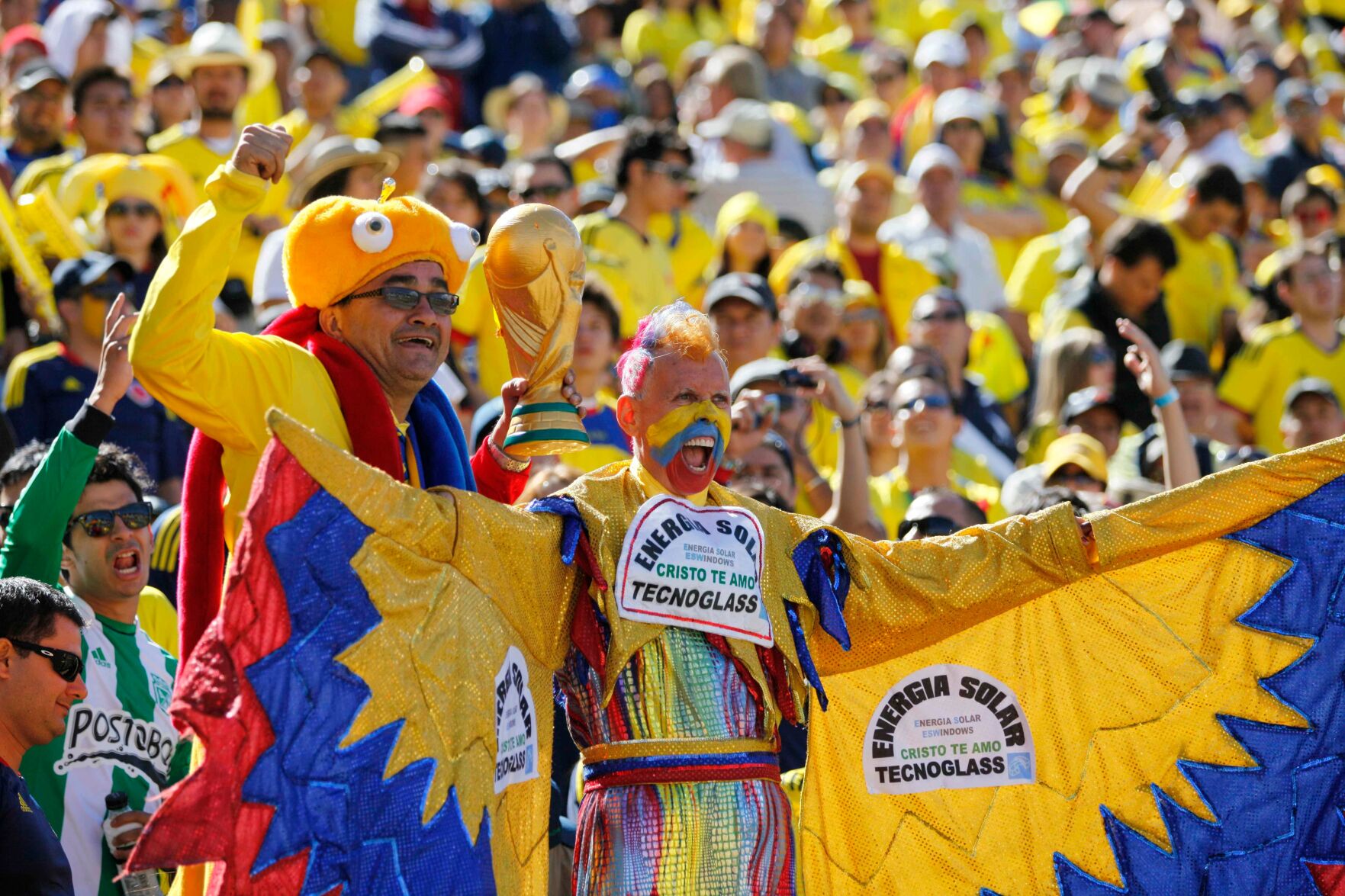 Some of the most dedicated World Cup fans skipping this year's