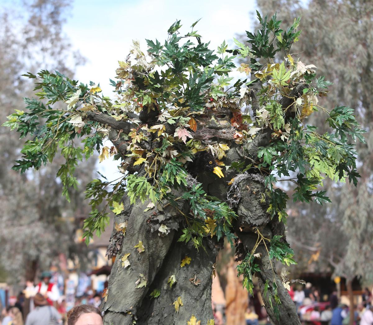 Arizona Renaissance Festival | Featured | pinalcentral.com