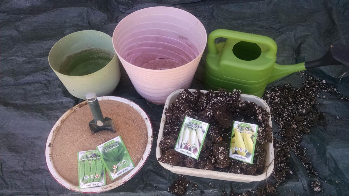 Arizona Gardeners Vegetables Grown In Containers Can Be Amazing