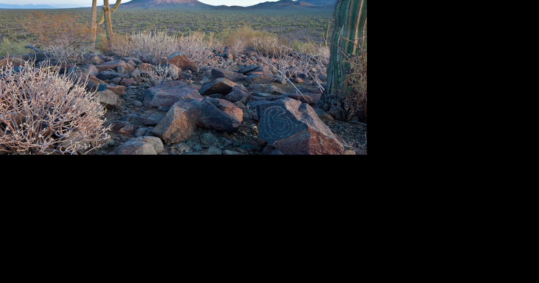 Volunteers help preserve Ironwood Forest National Monument News