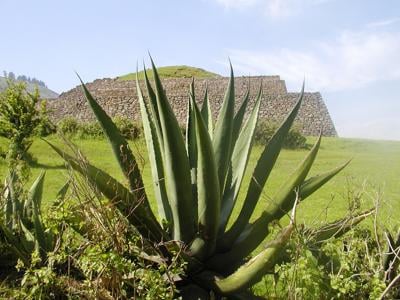 aztec terracing