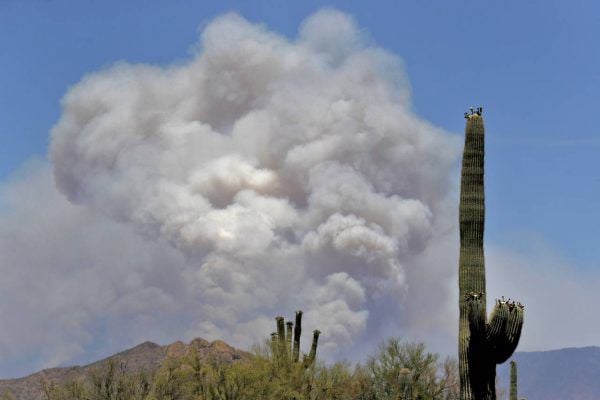 Bush Fire