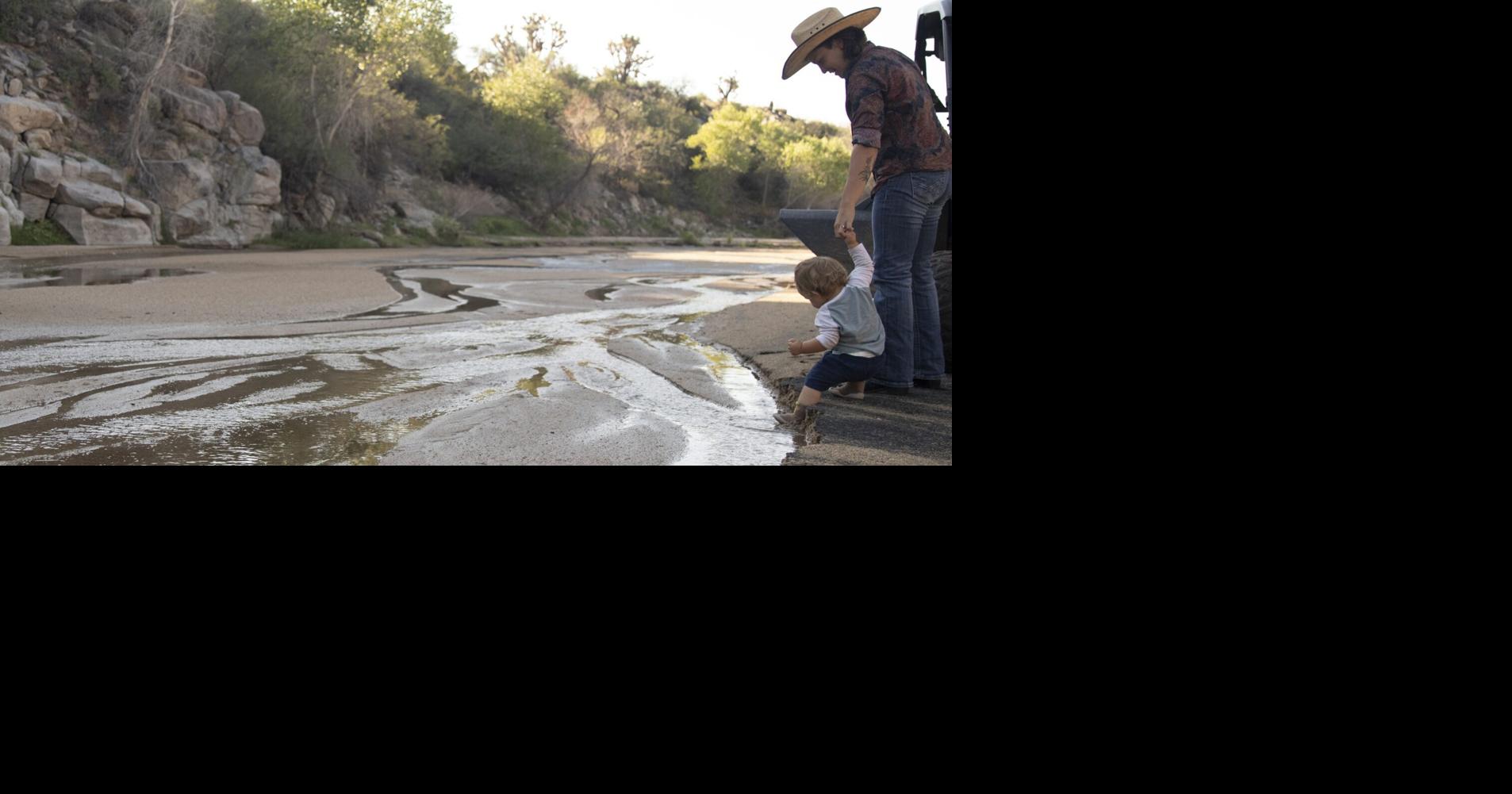 How one Wickenburg cattle ranch puts sustainability at its core ...