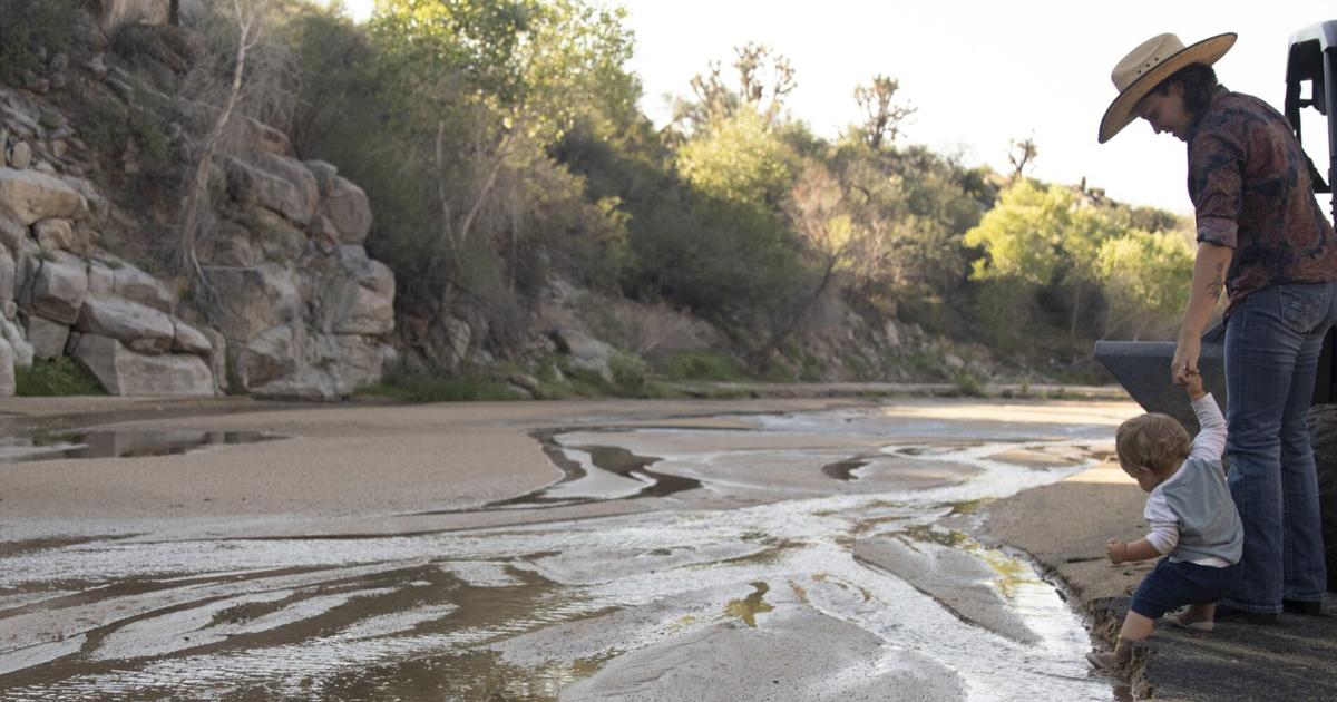 How one Wickenburg cattle ranch puts sustainability at its core ...