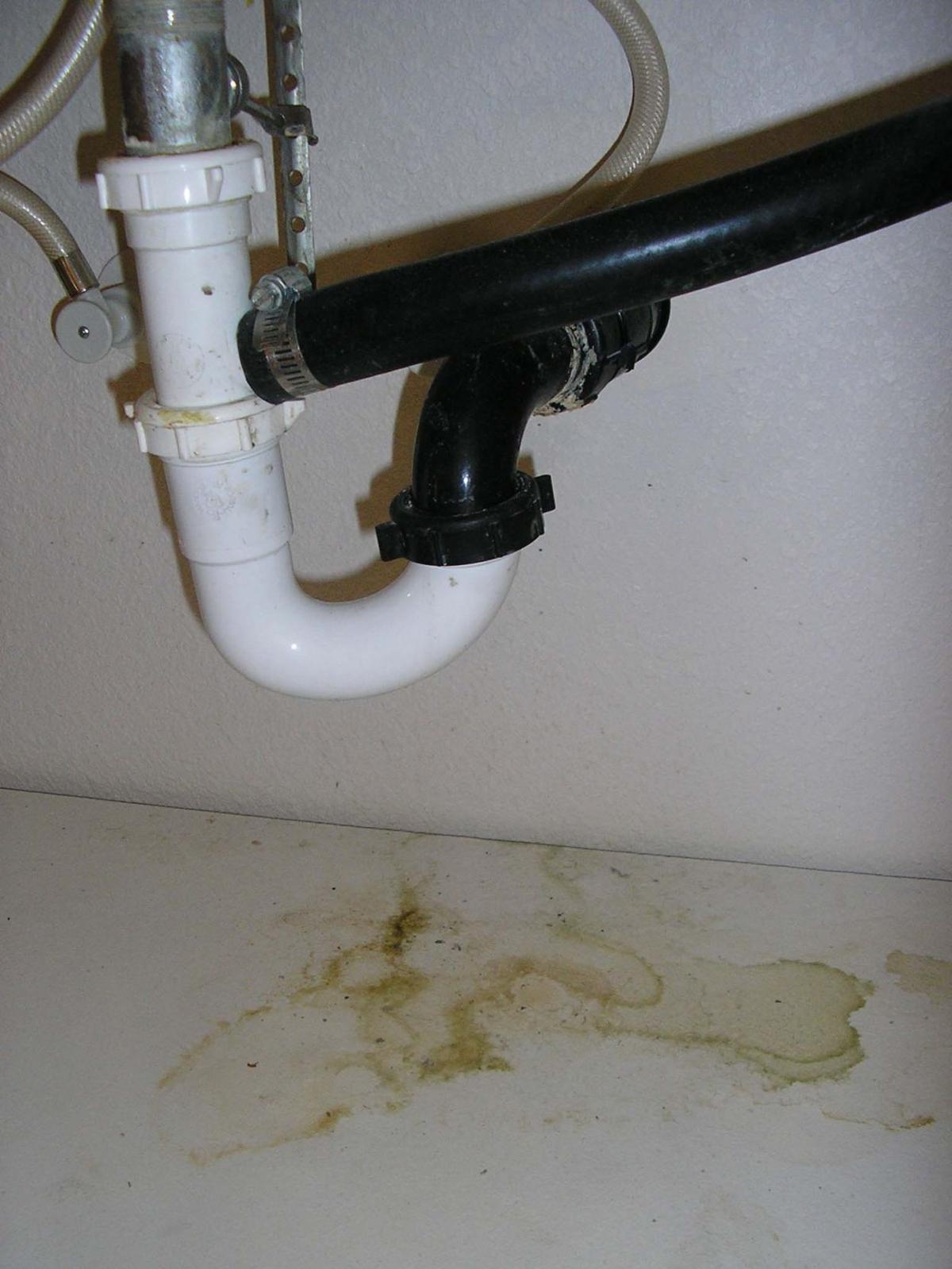 Where To Look For Mold In Your House And How Clean It Up Mold Under Sink