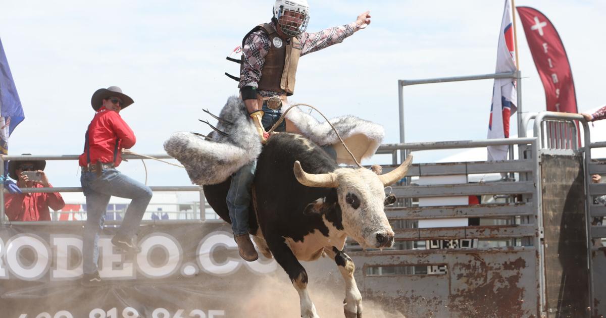 Live rodeo debuts at Country Thunder | Country Thunder | pinalcentral.com