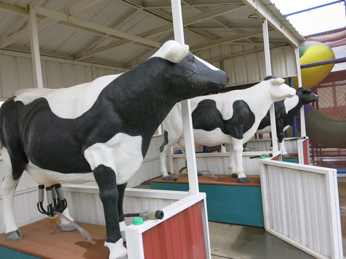 Stanfield's Shamrock Farms a ‘education destination’ Farm And Ranch