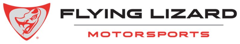 Flying Lizard logo