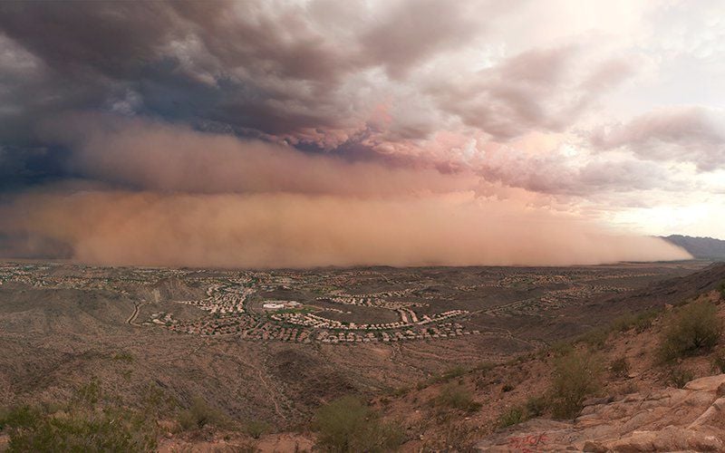 A beginner's guide to monsoon season Arizona News