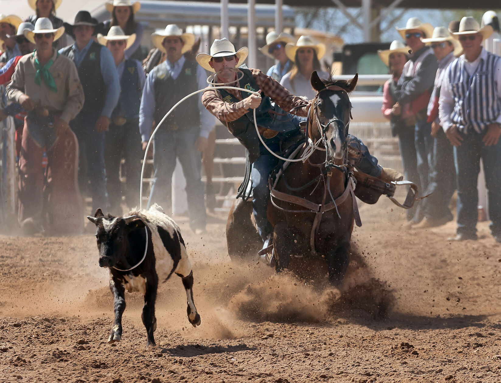 Dall's Rodeo Central Arizona College Rodeo | Community Galleries | pinalcentral.com