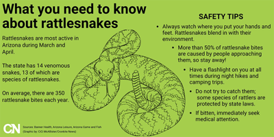Do Arizona Rattlesnakes Truly Hibernate In Winter Arizona News Pinalcentral Com