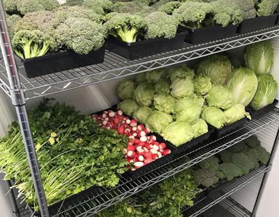 Campaign Hopes To Raise Money For Casa Grande And Maricopa Food Banks Covid 19 Pinalcentral Com
