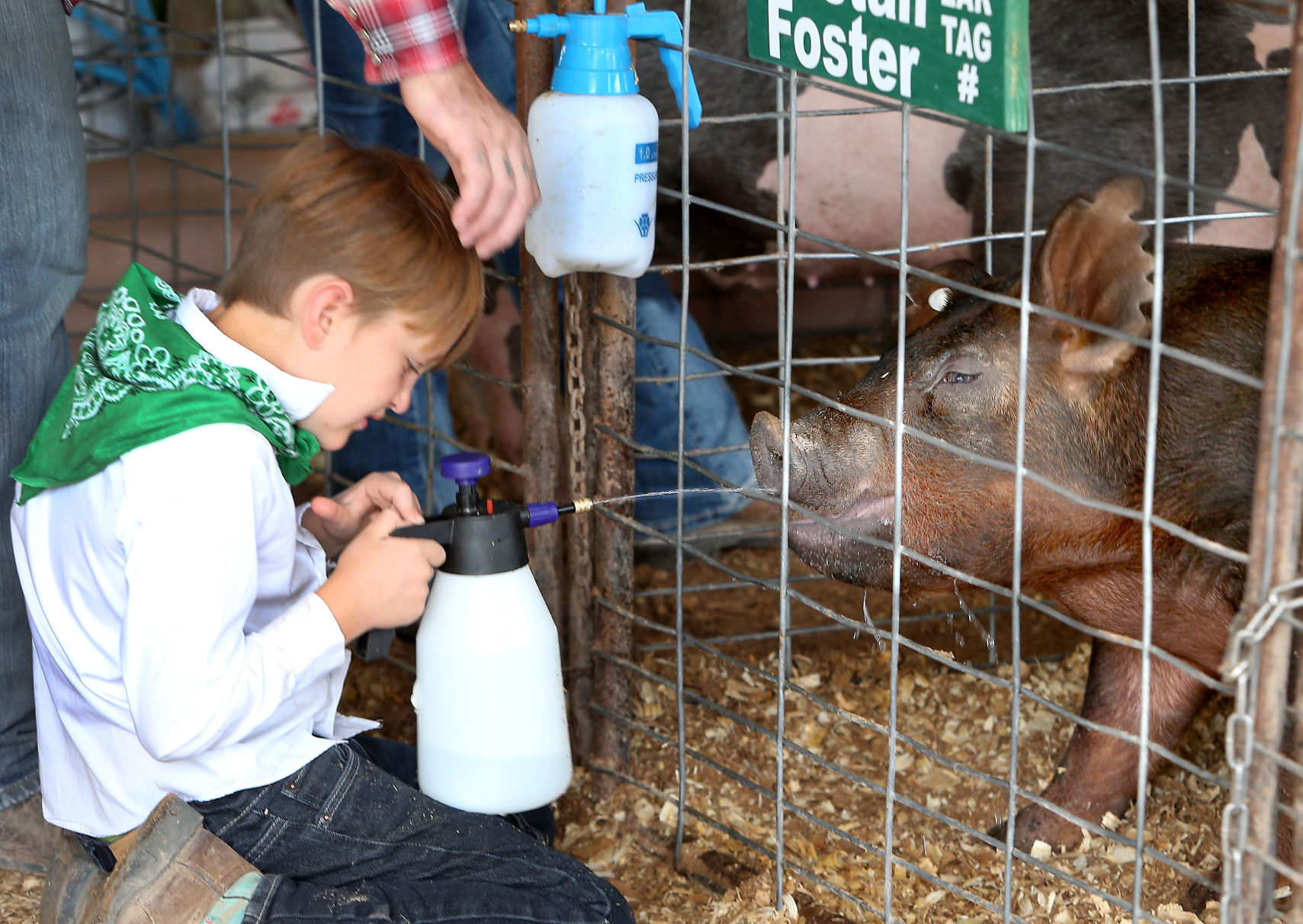 Visit to Pinal fair student exhibit shows 4-H is more than cows