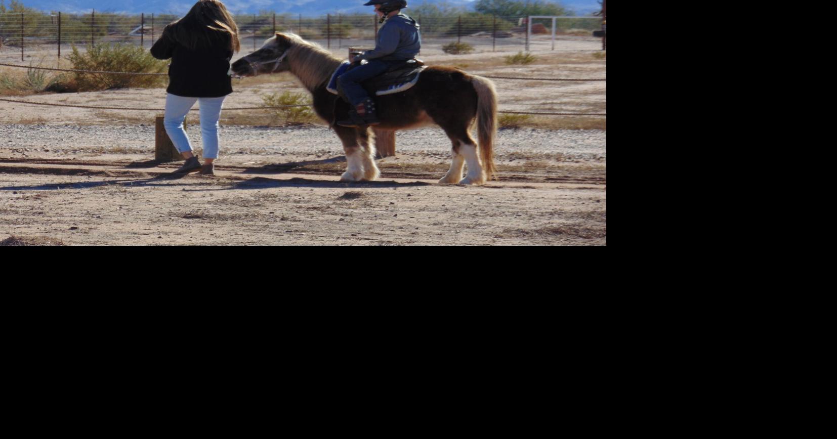 Pony Ranch, Tinytown aims to give kids fun-on-the-farm experience ...