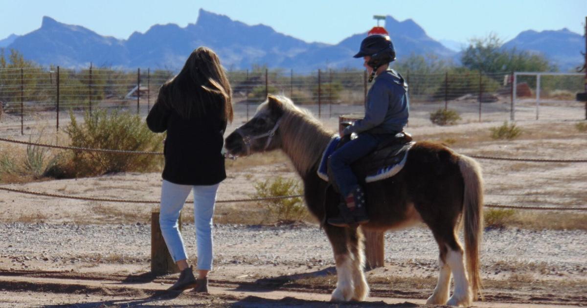 Pony Ranch, Tinytown aims to give kids fun-on-the-farm experience ...
