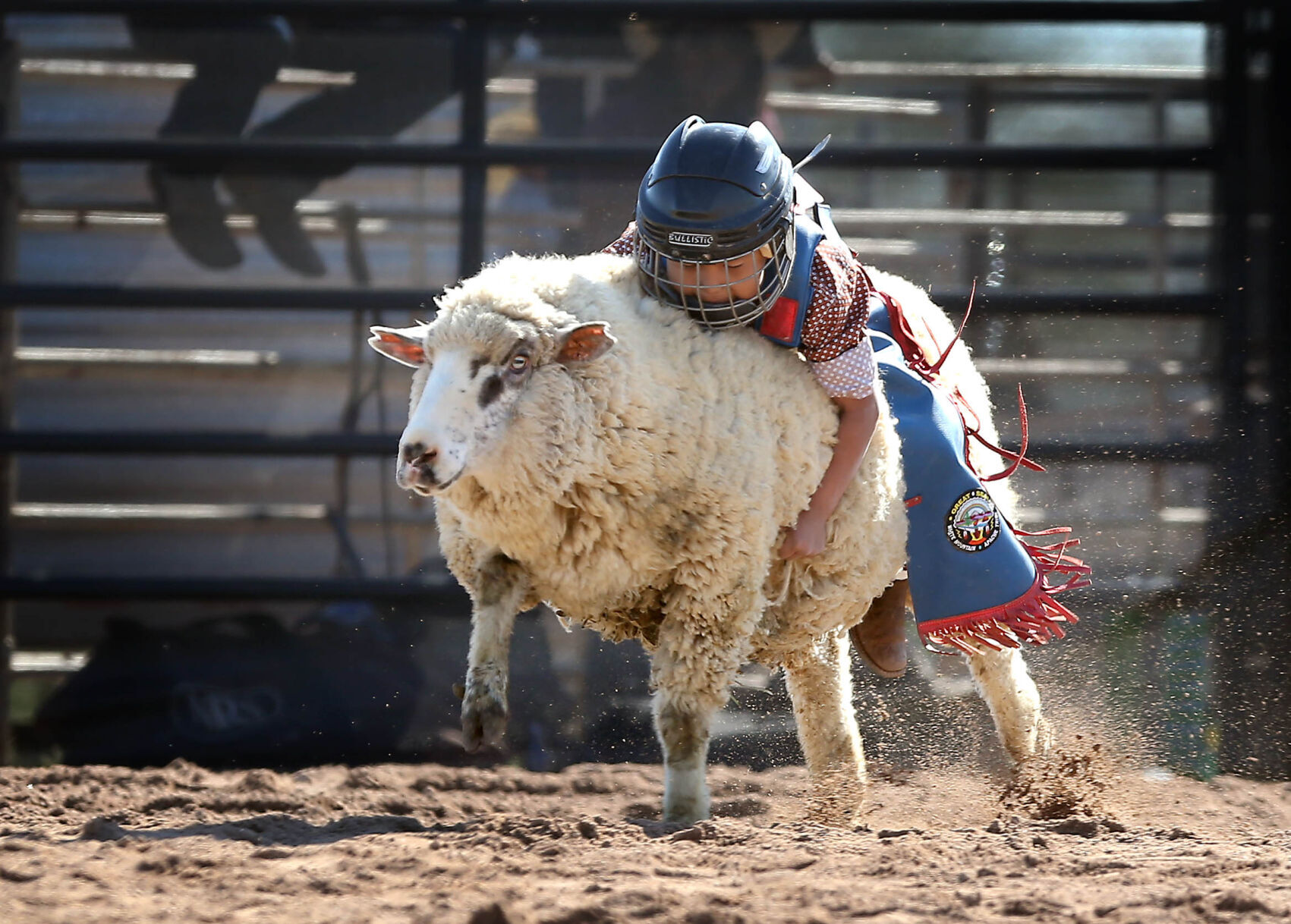 Mul Chu Tha Fair and Rodeo Featured pinalcentral