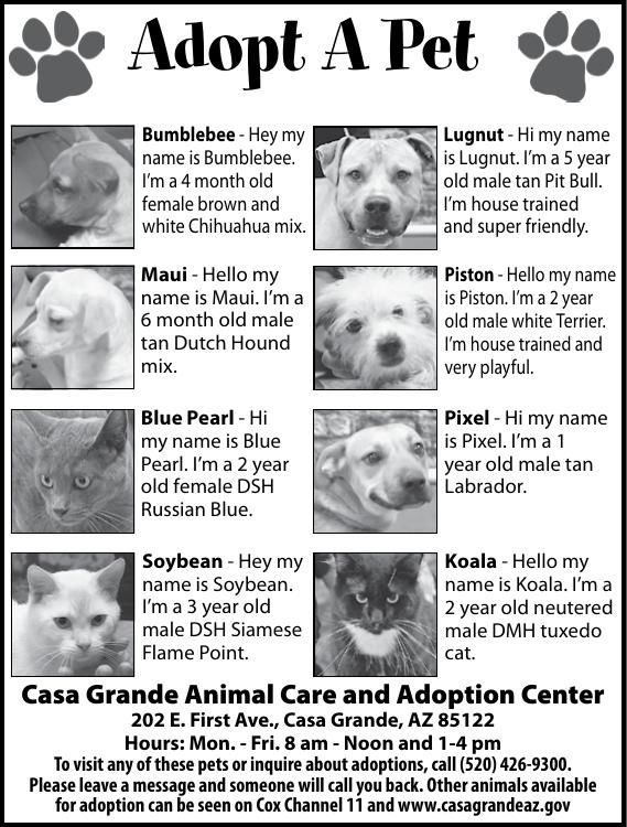 hill's science diet vip