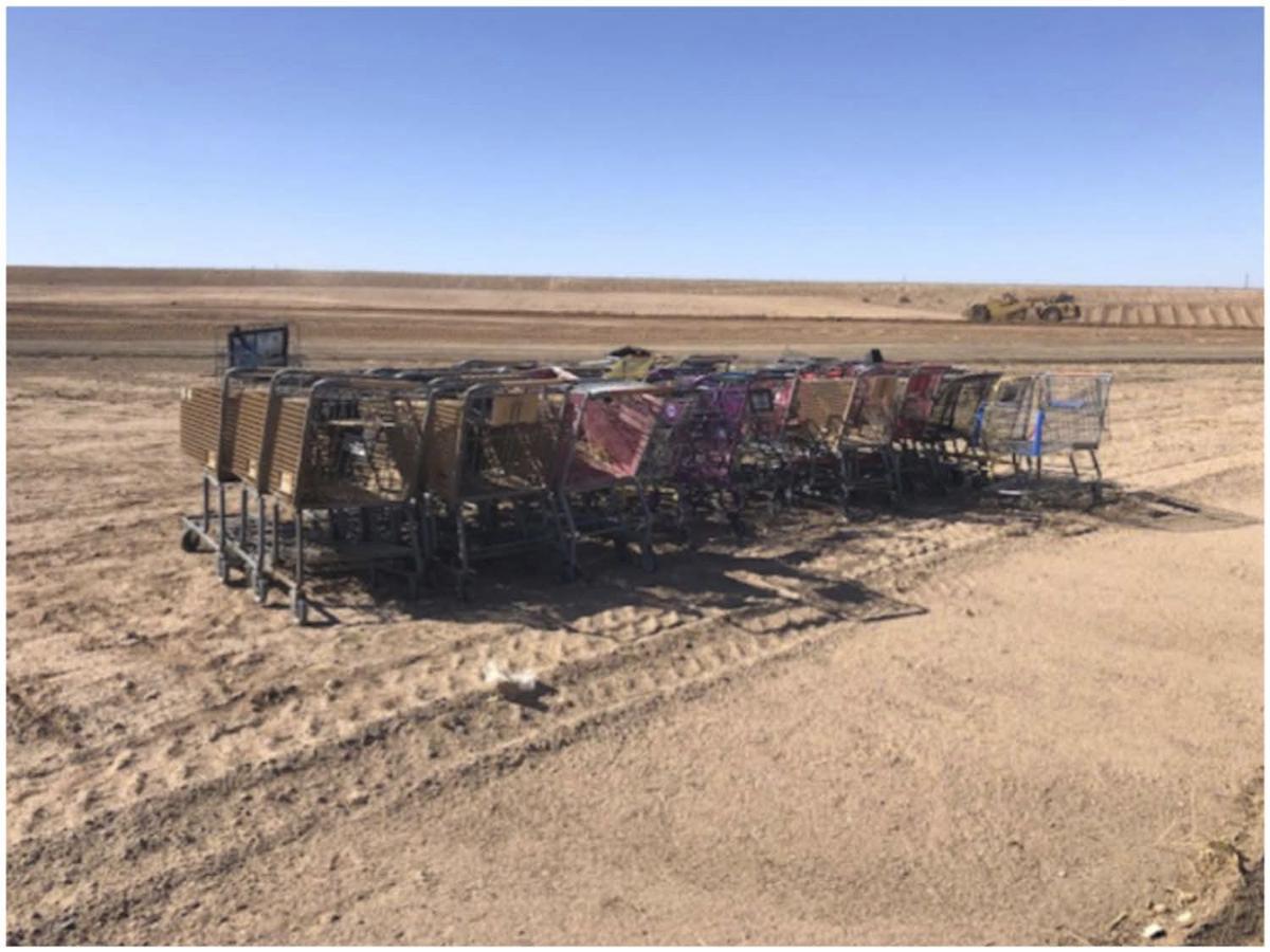 Abandoned carts at dump.jpg
