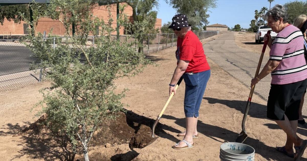 Tree planting programs aim to expand local canopies | Pinal Ways ...