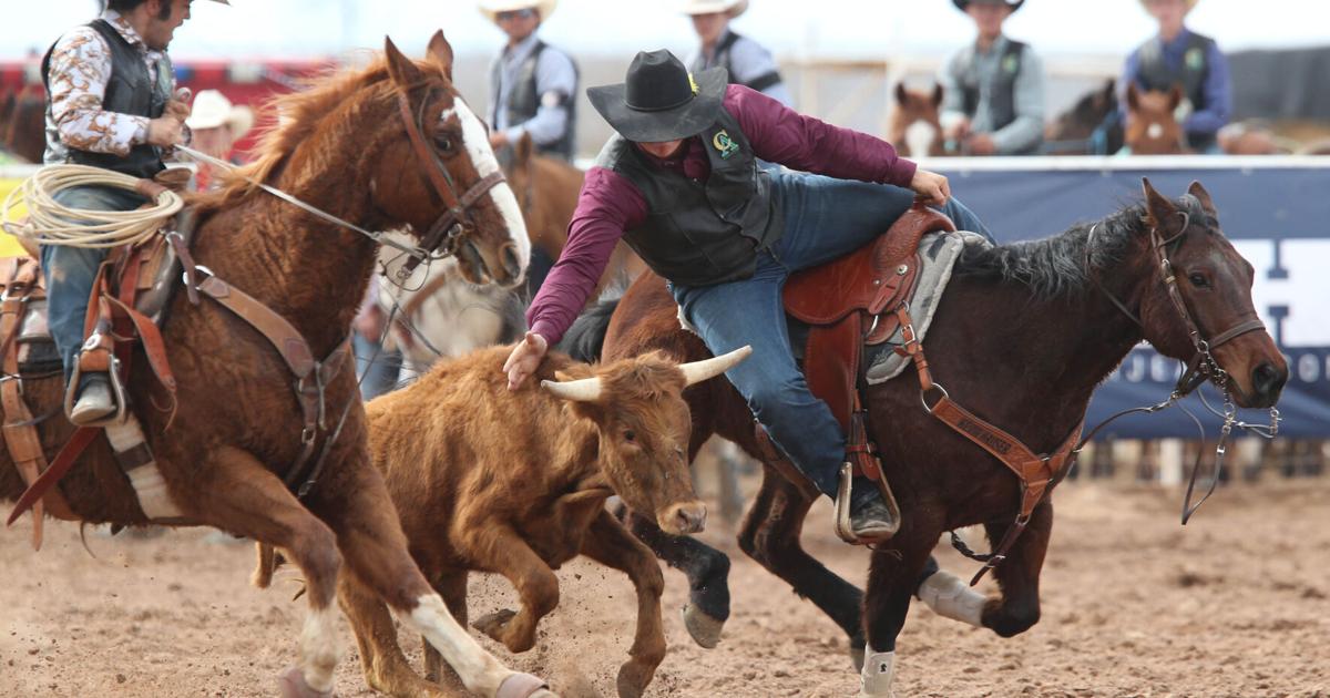 Crc Rodeo CAC Rodeo 3/11/23 | Sports | pinalcentral.com