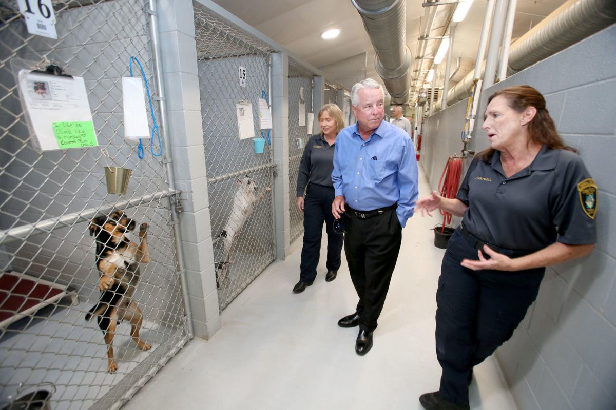 CG animal shelter receives new shade structure | Casa Grande Area News ...