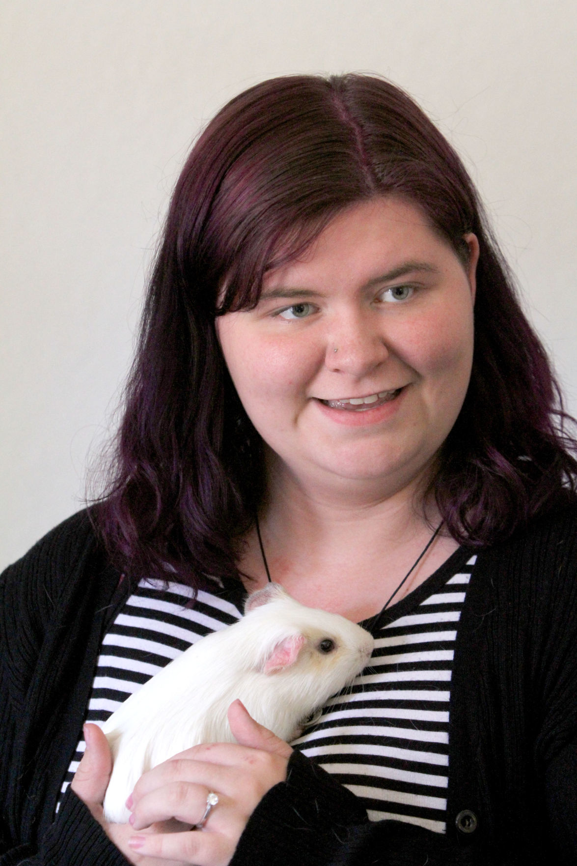 surrendering a guinea pig near me