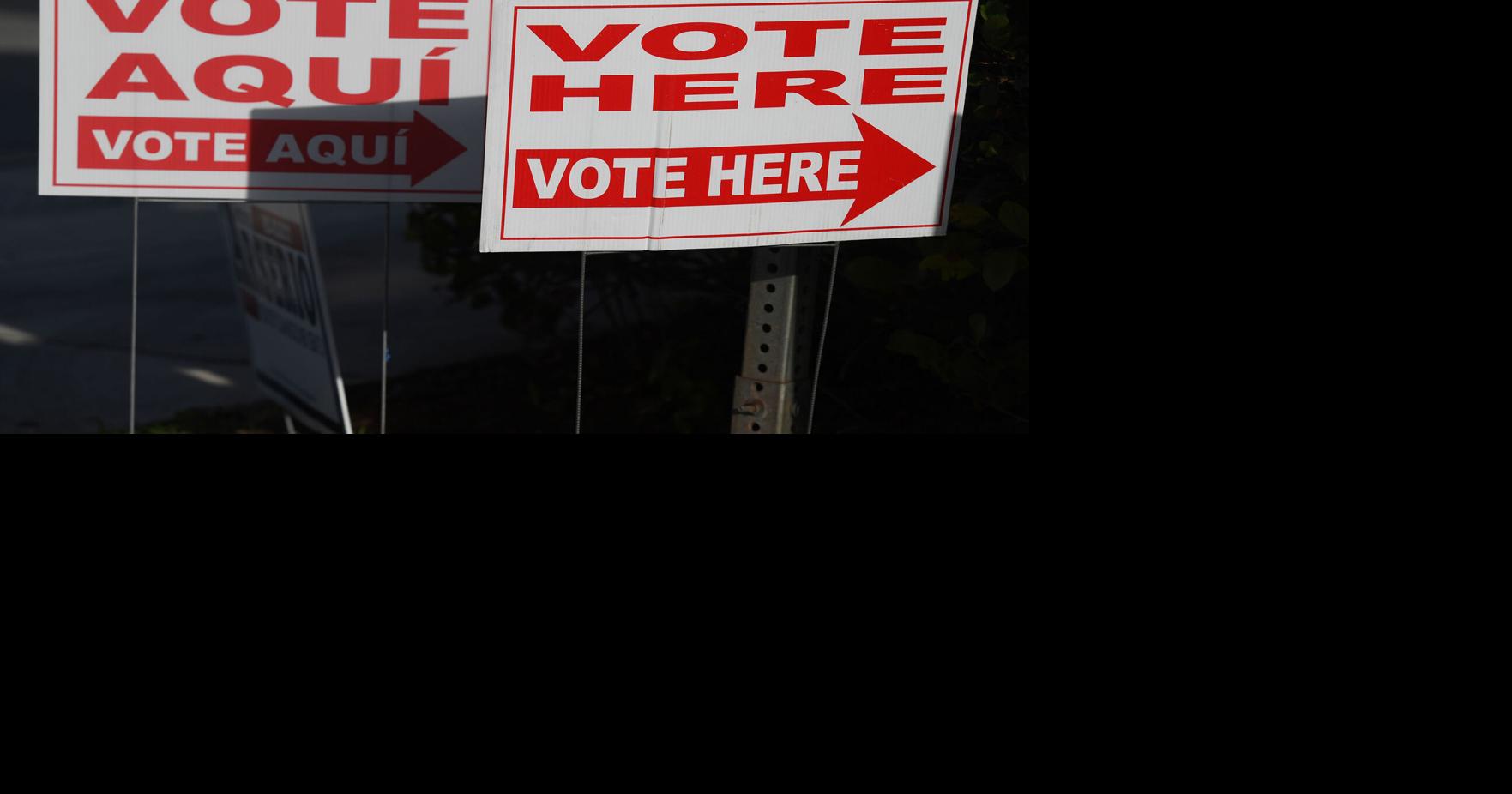 State panel makes recommendations for election law changes | Politics ...