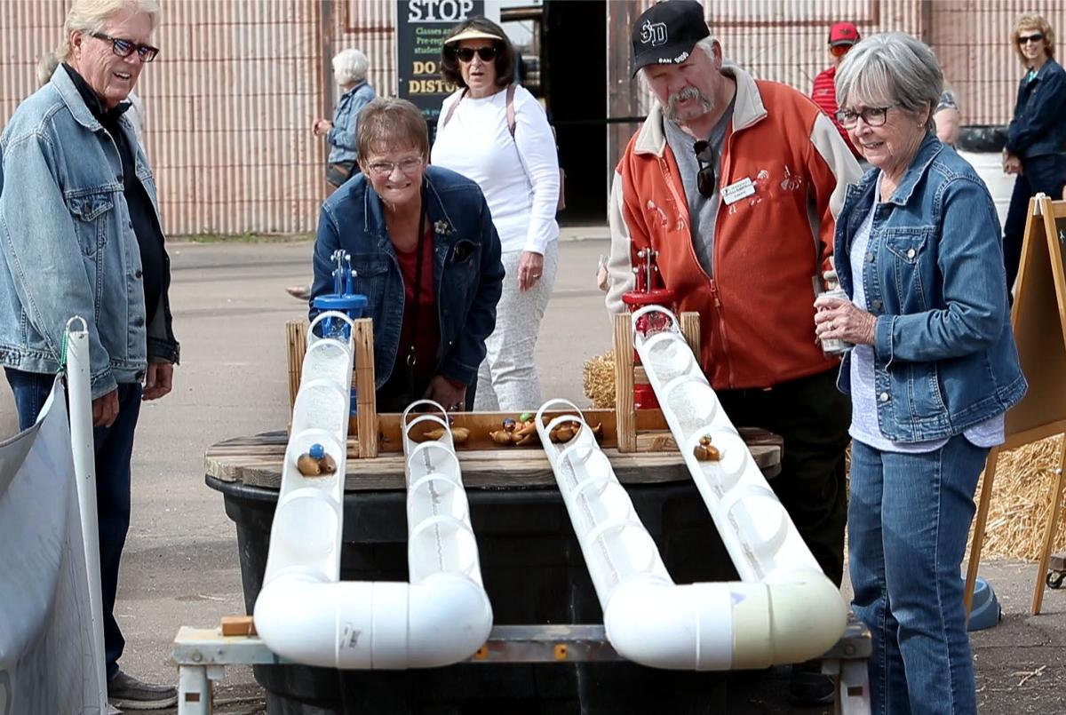 Wuertz Farm Gourd Festival 2023 Featured