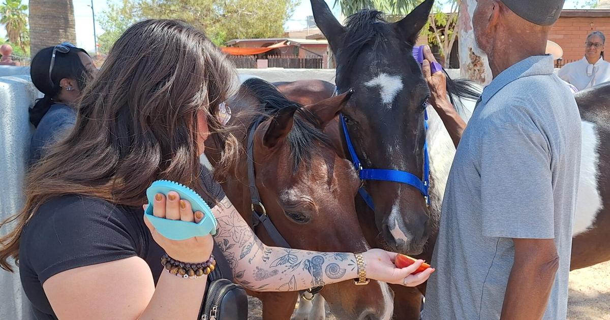 Luke’s House raises mental health awareness through series, partnerships