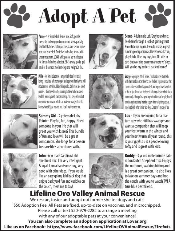 Lifeline Oro Valley Animal Rescue, 9/7/18 | Adopt A Pet 