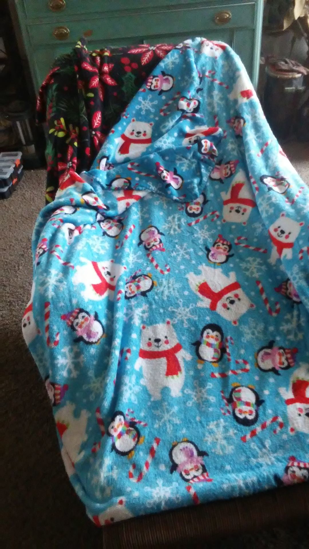 Az City woman makes handmade sleeping bags for homeless News