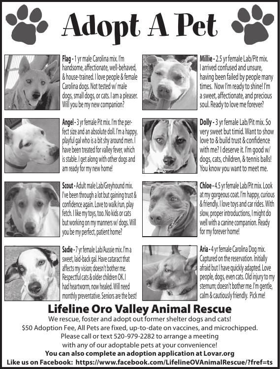 Lifeline Oro Valley Animal Rescue, 5/8/18 | Adopt A Pet 
