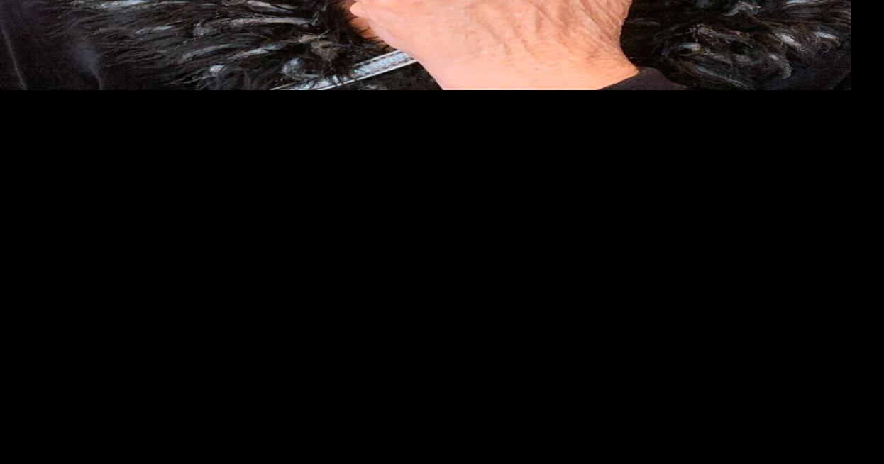 Best karaoke singers to compete in finale Area News