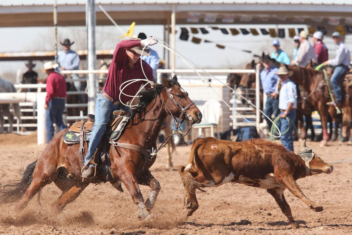 Mike Cervi Jr. Memorial Roping 2/22/17 Featured