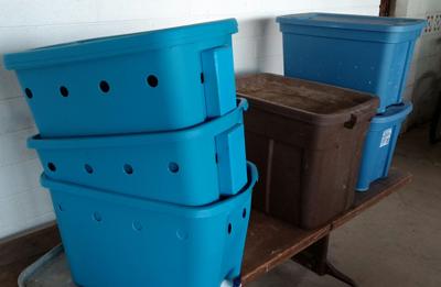Arizona Gardeners Low Desert Temperatures Hard On Composting