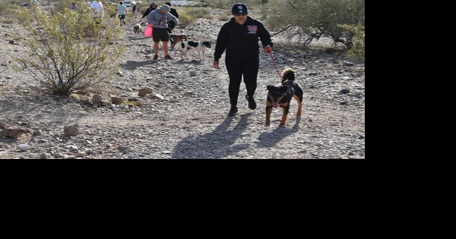 Pinal animal shelter full and operating in ‘panic mode’ | Casa Grande ...