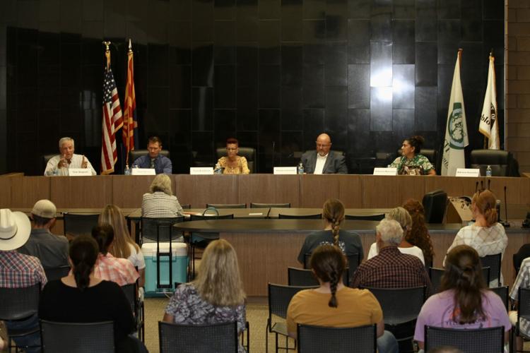 Decision on Coolidge election recount likely depends on court News
