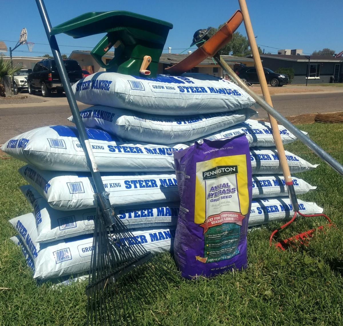 Gibson Overseeding Bermudagrass Lawns With Annual Ryegrass Home